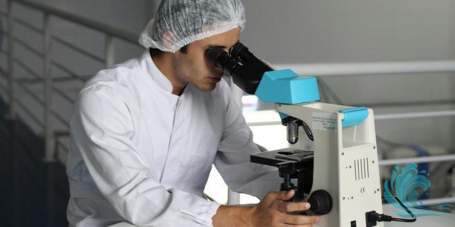Hepatit B Nedir? – İstemi.net Kişisel Blog Sitesi