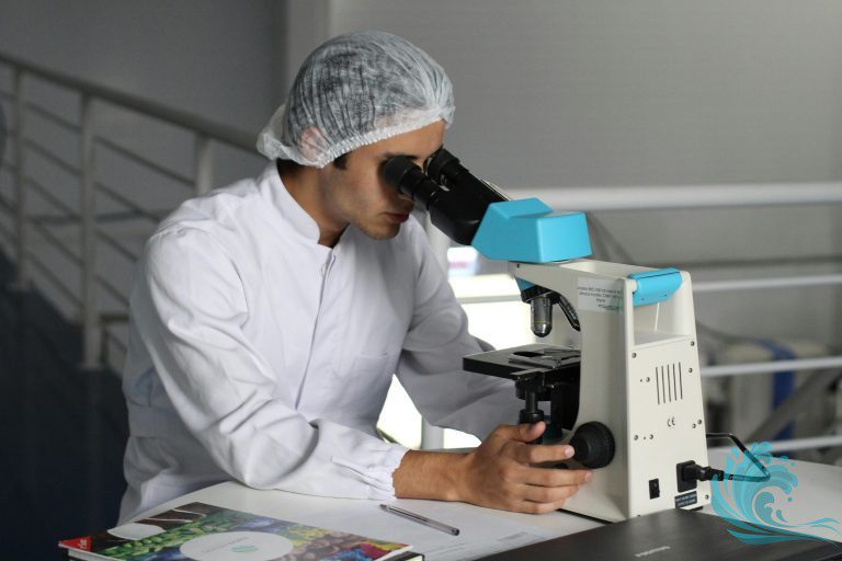 Hepatit B Nedir? – İstemi.net Kişisel Blog Sitesi