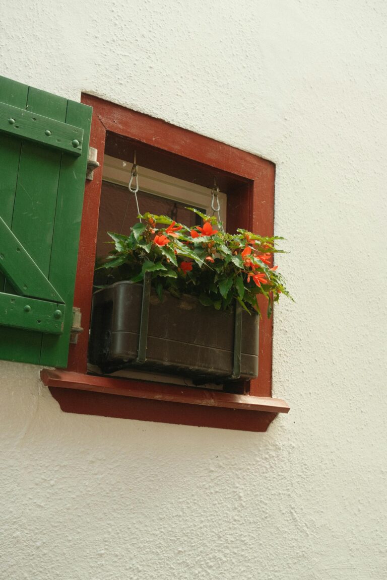 Denizlik Nedir