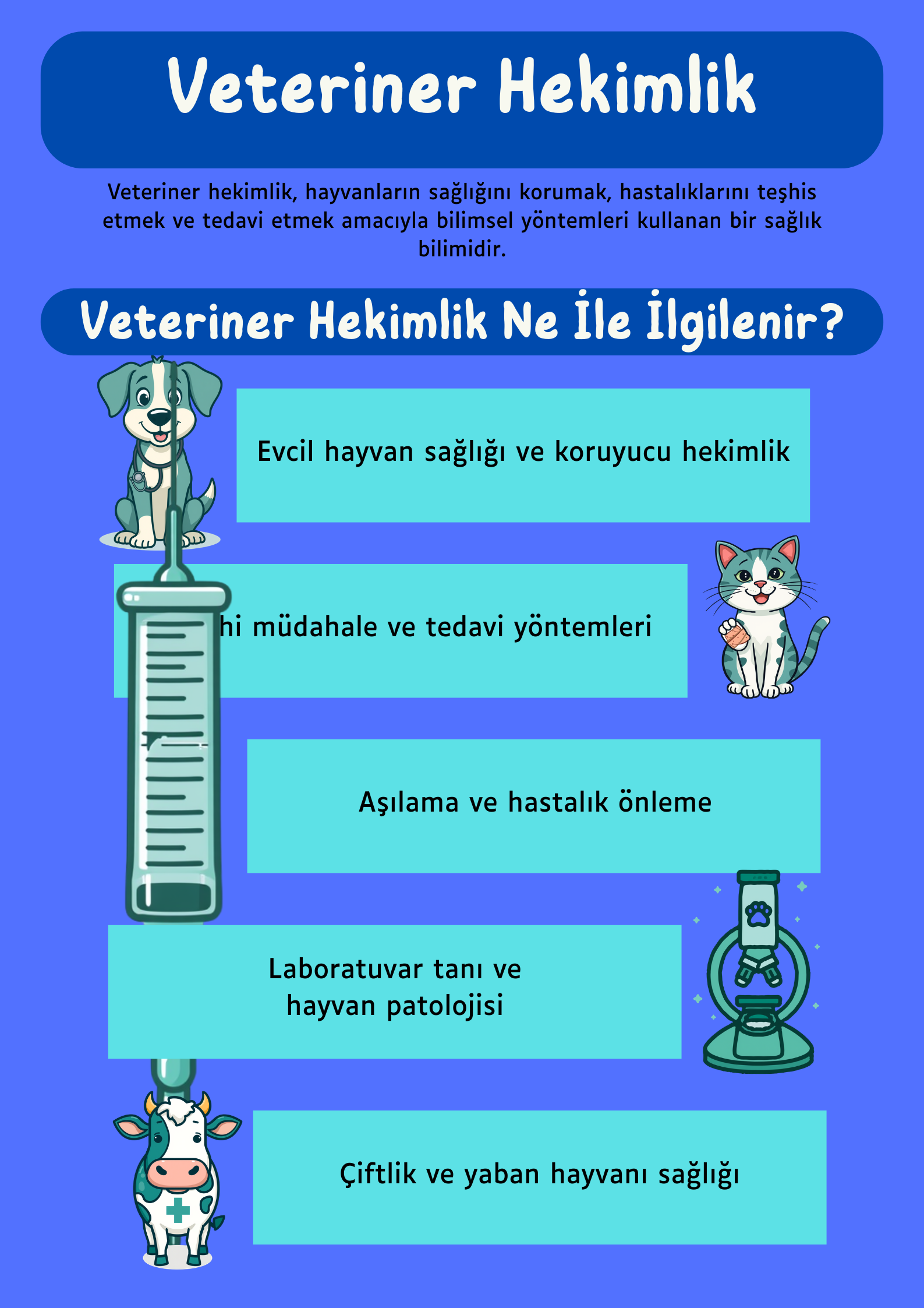 Vet Med ne demek? – İstemi.net Kişisel Blog Sitesi Vet Med ne demek? – İstemi.net Kişisel Blog Sitesi